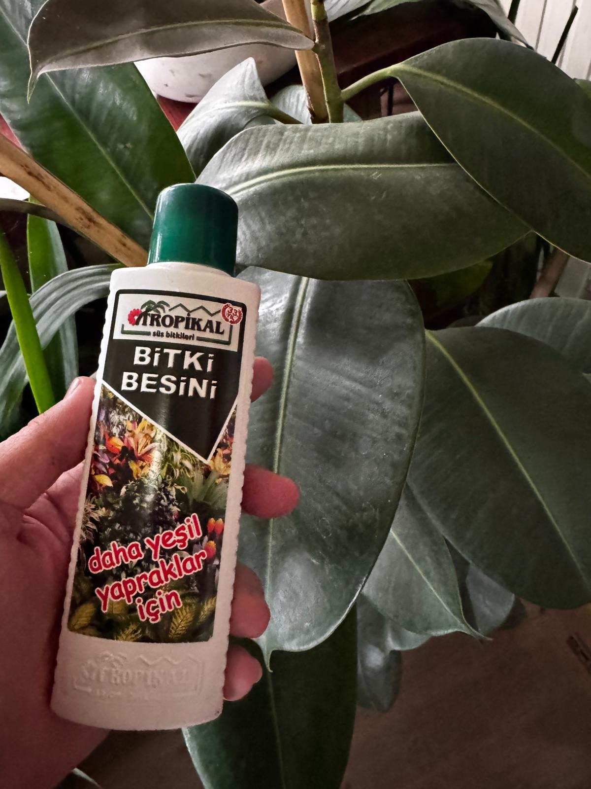 Yeşil Yapraklı Bitkiler İçin Besin (Salon Bitkileri)