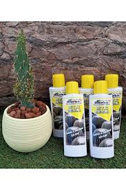 Kaktüs ve Sukulent Besini